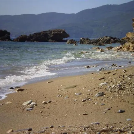 La Vecchia Trebbia Ansonica